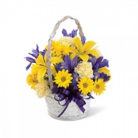 Le Panier Esprit du Printemps Le Panier Esprit du Printemps